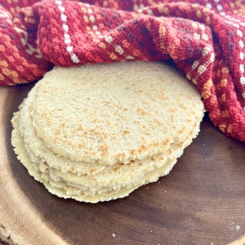 gluten-free and grain free tortillas